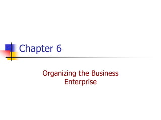 Chapter 6

    Organizing the Business
          Enterprise
 