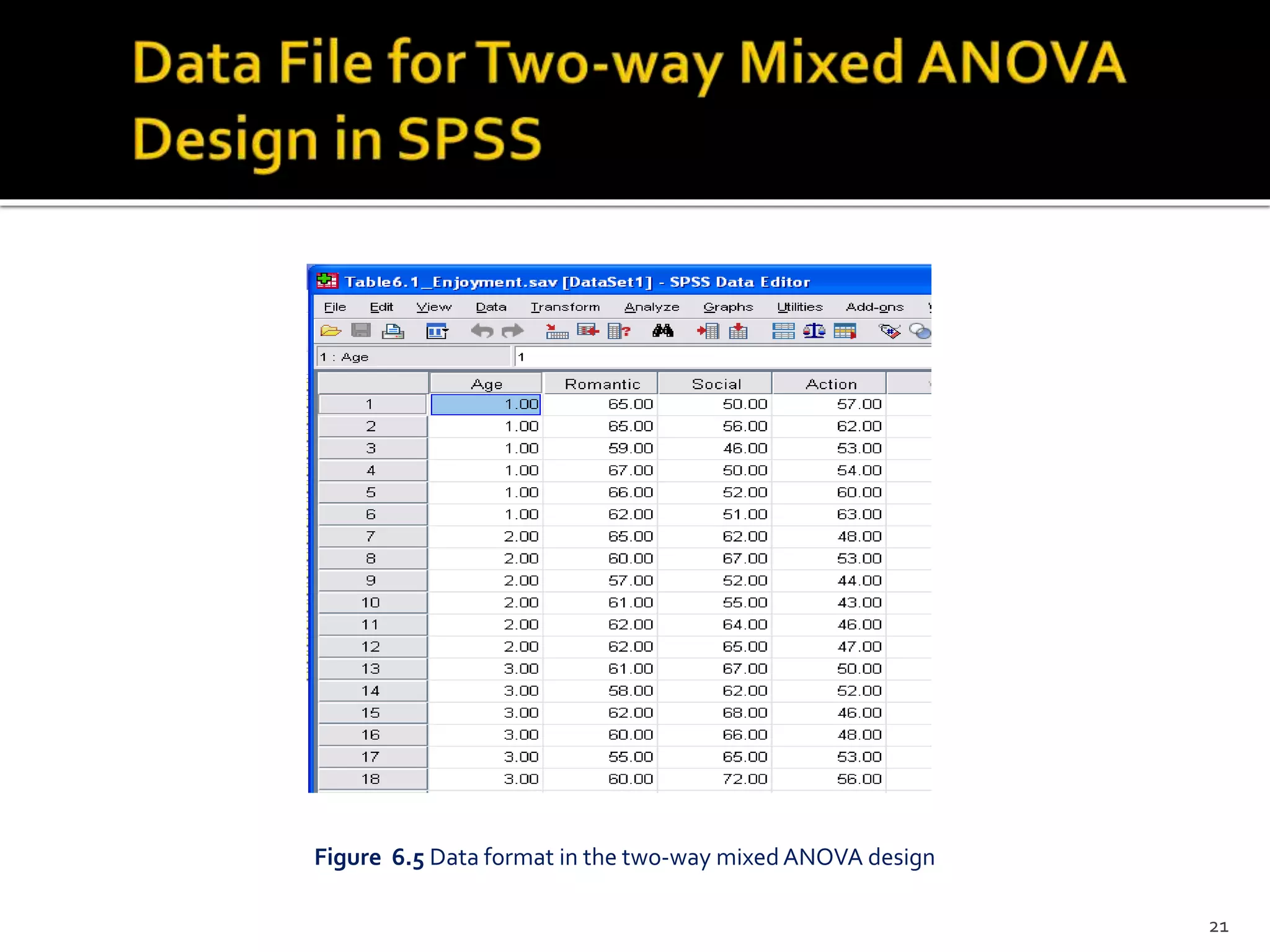 Figure 6.5 Data format in the two-way mixed ANOVA design
21
 