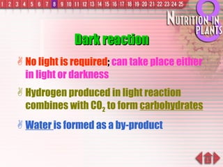 Dark reaction No light is required ;  can take place either in light or darkness Hydrogen produced in light reaction combines with CO 2  to form  carbohydrates Water  is formed as a by-product 