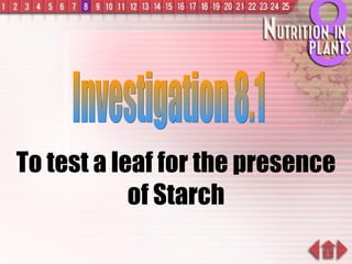 To test a leaf for the presence of Starch Investigation 8.1 