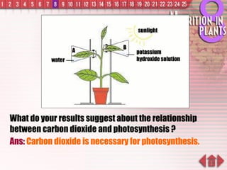 What do your results suggest about the relationship between carbon dioxide and photosynthesis ? Ans:  Carbon dioxide is necessary for photosynthesis. sunlight B A water potassium hydroxide solution 