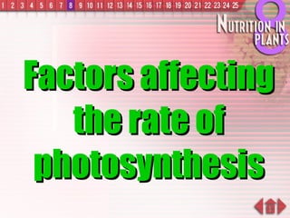 Factors affecting the rate of photosynthesis 