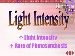    Light intensity     Rate of Photosynthesis Light Intensity 