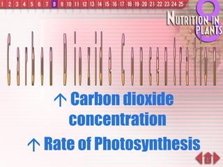    Carbon dioxide concentration    Rate of Photosynthesis Carbon Dioxide Concentration 