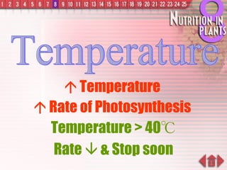    Temperature     Rate of Photosynthesis  Temperature Temperature > 40 ℃ Rate    & Stop soon 