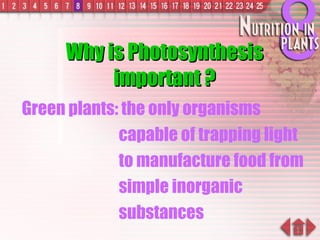 Why is Photosynthesis important ? Green plants: the only organisms capable of trapping light to manufacture food from simple inorganic substances 