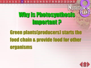 Why is Photosynthesis important ? Green plants(producers) starts the food chain & provide food for other organisms 