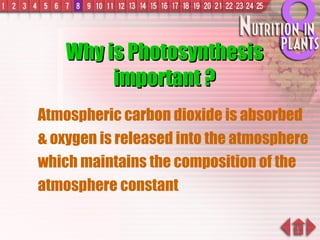 Why is Photosynthesis important ? Atmospheric carbon dioxide is absorbed & oxygen is released into the atmosphere which maintains the composition of the atmosphere constant 