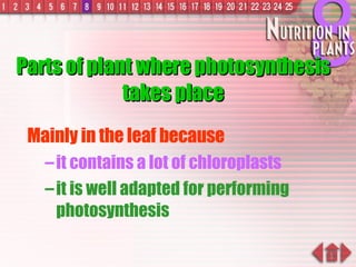 Parts of plant where photosynthesis takes place Mainly in the leaf because   it contains a lot of chloroplasts it is well adapted for performing photosynthesis 