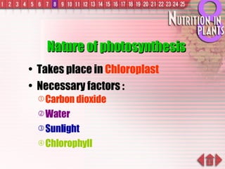 Nature of photosynthesis Takes place in  Chloroplast Necessary factors : Carbon dioxide Water Sunlight Chlorophyll 