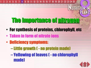 The importance of  nitrogen For synthesis of proteins, chlorophyll, etc Taken in form of nitrate ions Deficiency symptoms: Little growth ( - no   protein made) Yellowing of leaves ( - no chlorophyll made) 