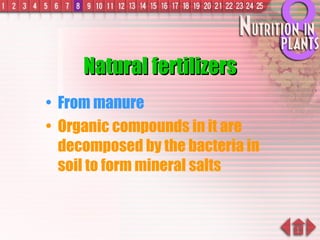 Natural fertilizers From manure Organic compounds in it are decomposed by the bacteria in soil to form mineral salts 