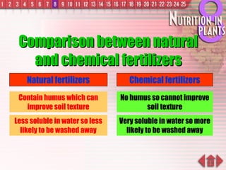 Comparison between natural and chemical fertilizers Natural fertilizers Chemical fertilizers Contain humus which can improve soil texture No humus so cannot improve soil texture Less soluble in water so less likely to be washed away Very soluble in water so more likely to be washed away 