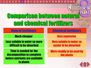 Comparison between natural and chemical fertilizers Natural fertilizers Chemical fertilizers Less soluble in water so more difficult to be absorbed Very soluble in water so easier to be absorbed More readily to be used by the plants Time is needed for the decomposition to complete before nutrients are available to plants Very expensive  Much cheaper 