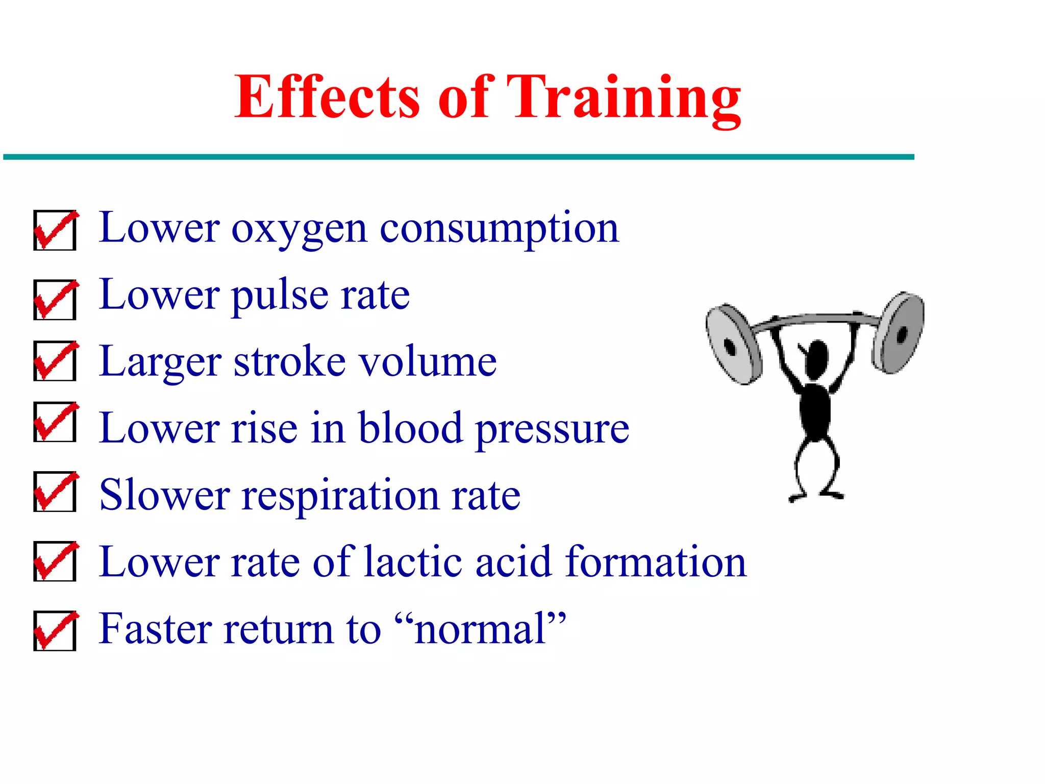 Effects of Training
Lower oxygen consumption
Lower pulse rate
Larger stroke volume
Lower rise in blood pressure
Slower respiration rate
Lower rate of lactic acid formation
Faster return to “normal”
 