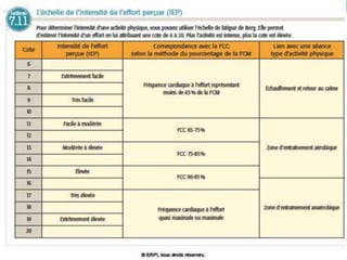 Échelle de la perception
 