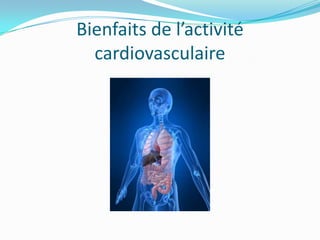 Bienfaits de l’activité
  cardiovasculaire
 