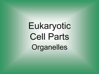 Eukaryotic
Cell Parts
Organelles
 