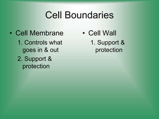 Cell Boundaries
• Cell Membrane
1. Controls what
goes in & out
2. Support &
protection
• Cell Wall
1. Support &
protection
 