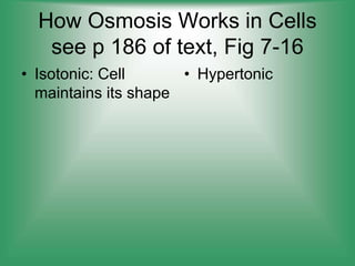 How Osmosis Works in Cells
see p 186 of text, Fig 7-16
• Isotonic: Cell
maintains its shape
• Hypertonic
 