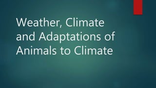 Weather, Climate
and Adaptations of
Animals to Climate
 