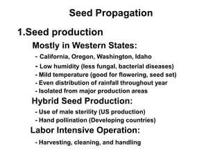 Seed Propagation
1.Seed production
Mostly in Western States:
- California, Oregon, Washington, Idaho
- Low humidity (less fungal, bacterial diseases)
- Mild temperature (good for flowering, seed set)
- Even distribution of rainfall throughout year
- Isolated from major production areas
Hybrid Seed Production:
- Use of male sterility (US production)
- Hand pollination (Developing countries)
Labor Intensive Operation:
- Harvesting, cleaning, and handling
 