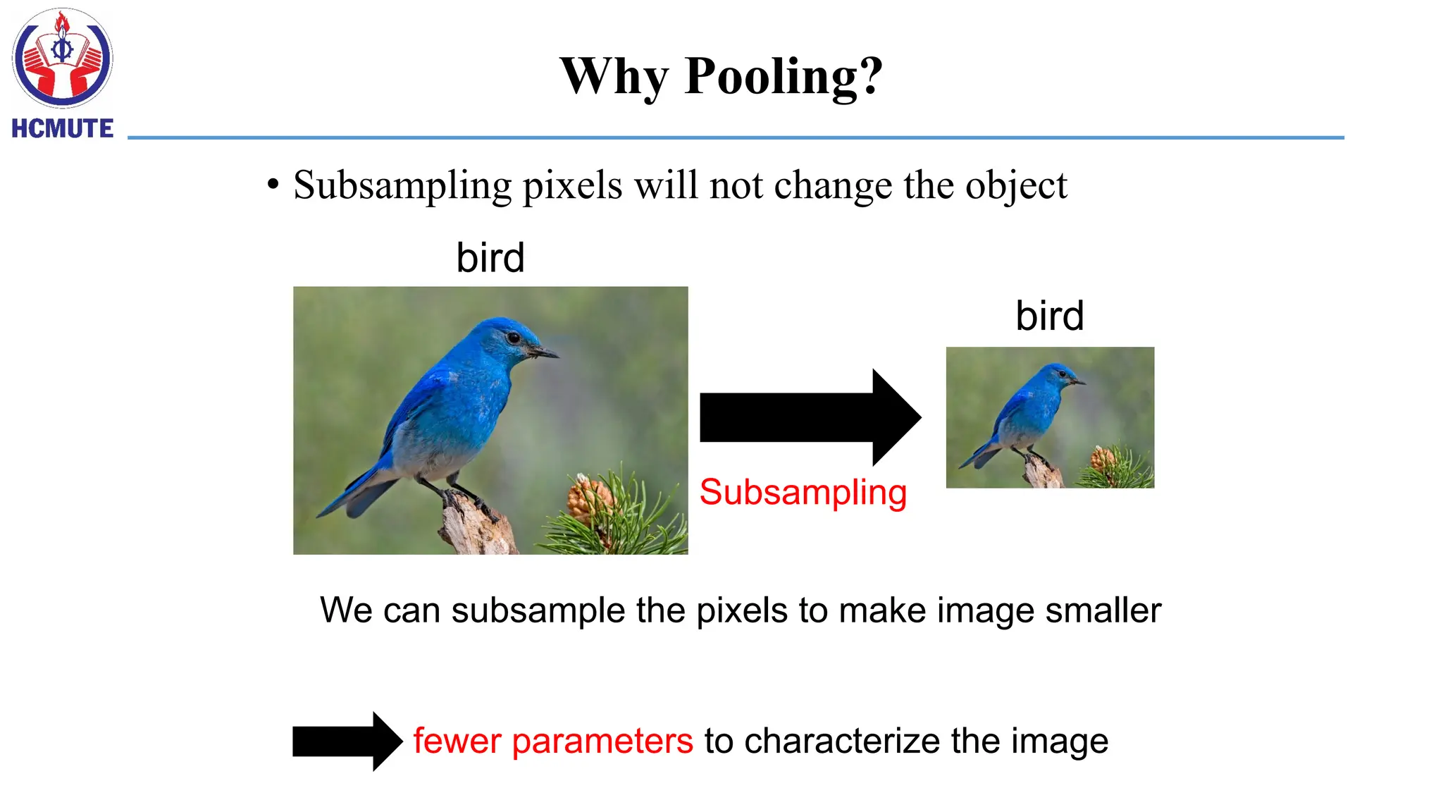 • Subsampling pixels will not change the object
Subsampling
bird
bird
We can subsample the pixels to make image smaller
fewer parameters to characterize the image
Why Pooling?
 