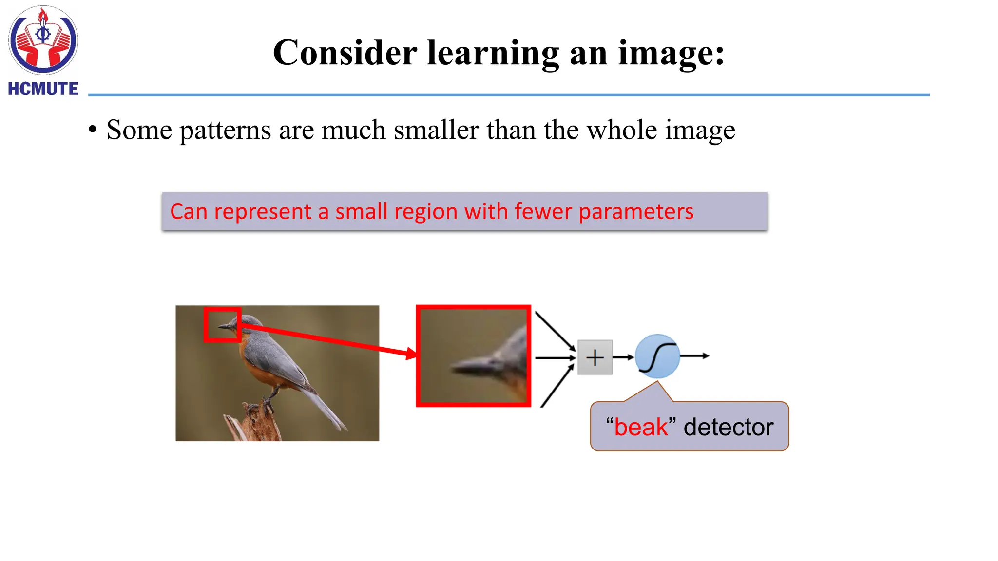 • Some patterns are much smaller than the whole image
“beak” detector
Can represent a small region with fewer parameters
Consider learning an image:
 