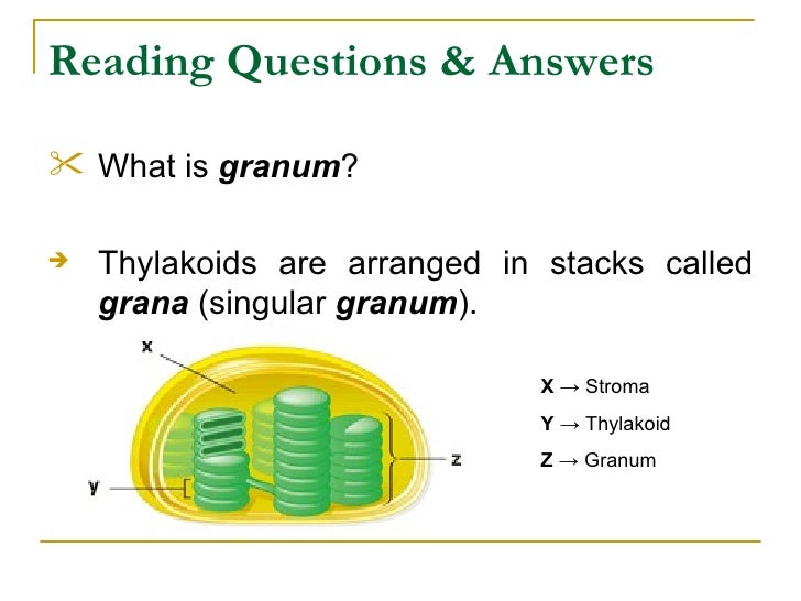 Chap 8 concept checks