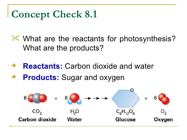 What are the reactants of photosynthesis?