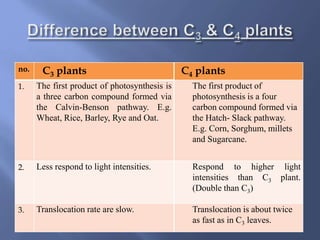 no. C3 plants C4 plants
1. The first product of photosynthesis is
a three carbon compound formed via
the Calvin-Benson pathway. E.g.
Wheat, Rice, Barley, Rye and Oat.
The first product of
photosynthesis is a four
carbon compound formed via
the Hatch- Slack pathway.
E.g. Corn, Sorghum, millets
and Sugarcane.
2. Less respond to light intensities. Respond to higher light
intensities than C3 plant.
(Double than C3)
3. Translocation rate are slow. Translocation is about twice
as fast as in C3 leaves.
 
