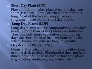  Short Day Plant (SDP)
Flower initiation takes place when the days are
short (less than 10 hrs.) or when dark period is
long. Most of the tropical crops like rice,
sorghum, maize etc. are short day plants.
 Long Day Plants (LDP)
Long day plants require comparatively long days
(usually more than 14 hrs.) for flower initiation.
They put forth more vegetative growth when
days are short. Most of the temperate crops like
wheat, barley and oats are long day plants.
 Day-Neutral Plants (DNP)
Plants in this category do not require either long
or short dark periods. Photoperiod does not have
much influence for basic change for these plants.
E. g. Cotton, sunflower, buckwheat, etc.
 