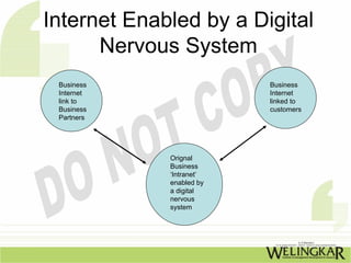 Internet Enabled by a Digital
      Nervous System
 Business                 Business
 Internet                 Internet
 link to                  linked to
 Business                 customers
 Partners




             Orignal
             Business
             ‘Intranet’
             enabled by
             a digital
             nervous
             system
 