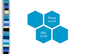 Waqas
Javed

MB12-05

 