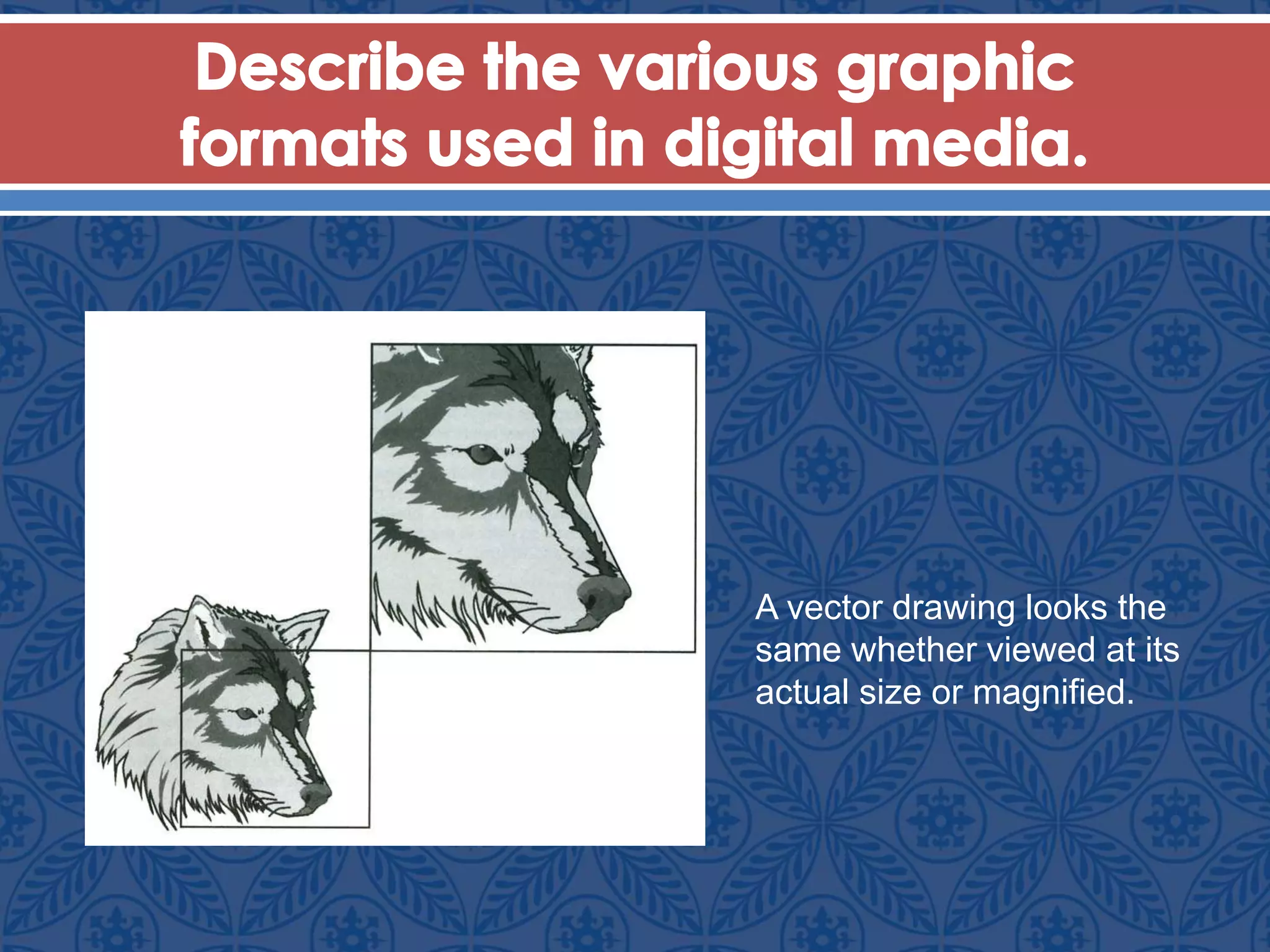 A vector drawing looks the
same whether viewed at its
actual size or magnified.
 