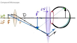Compound Microscope:
 