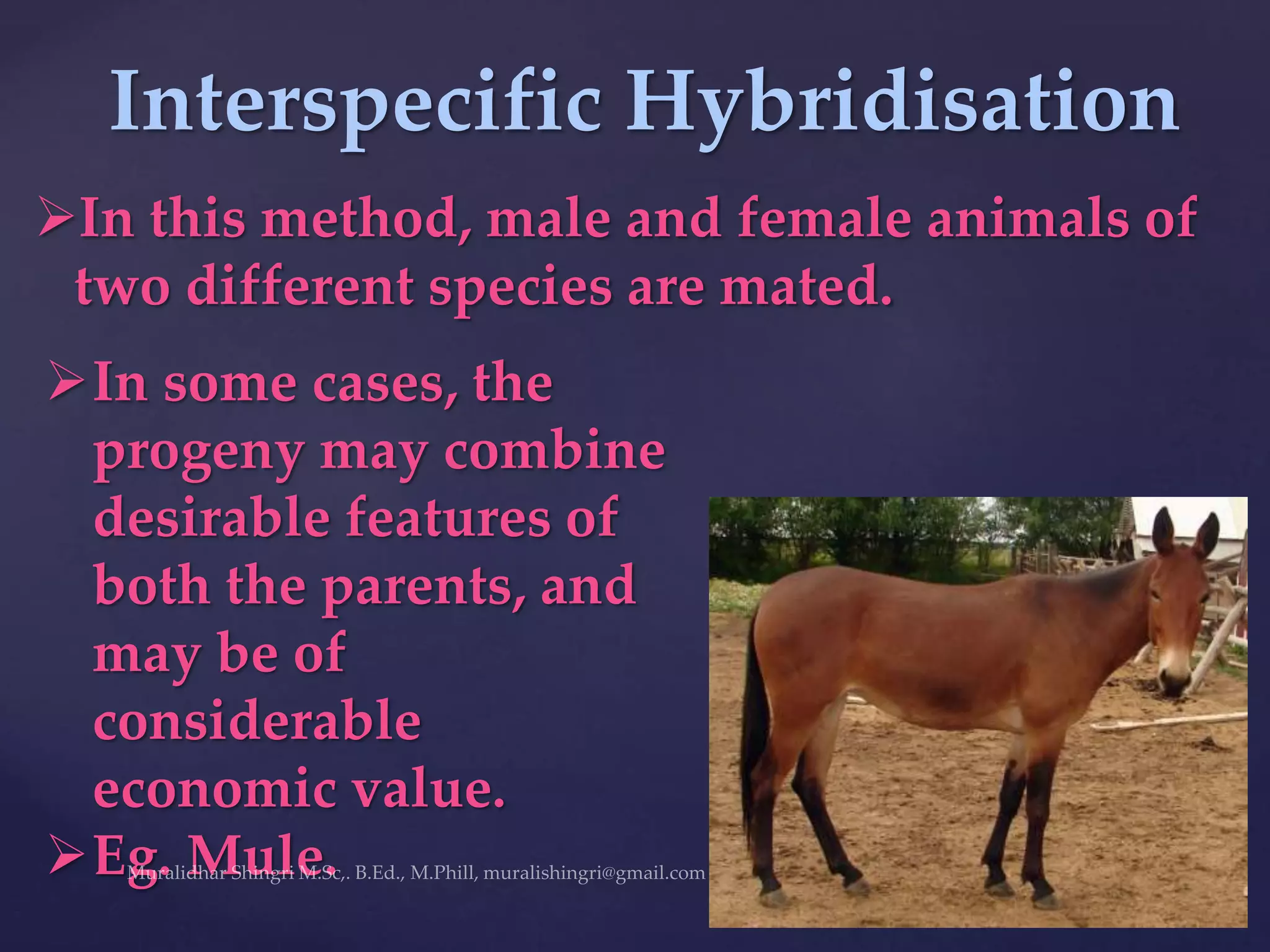 Interspecific Hybridisation
In this method, male and female animals of
two different species are mated.
In some cases, the
progeny may combine
desirable features of
both the parents, and
may be of
considerable
economic value.
Eg. Mule.
 