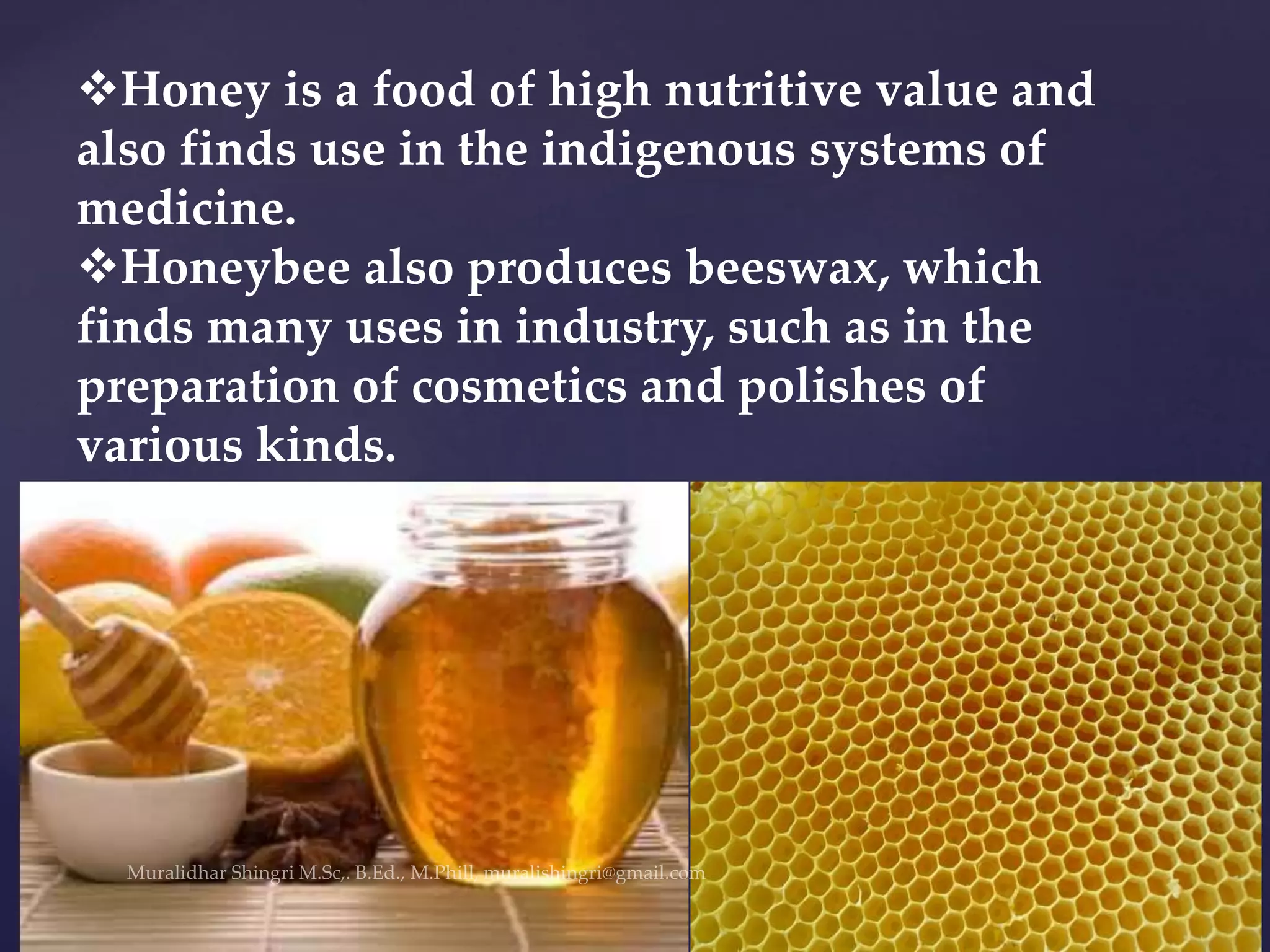 Honey is a food of high nutritive value and
also finds use in the indigenous systems of
medicine.
Honeybee also produces beeswax, which
finds many uses in industry, such as in the
preparation of cosmetics and polishes of
various kinds.
 
