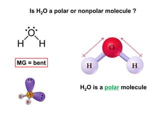 Is H2O a polar or nonpolar molecule ?
MG = bent
H2O is a polar molecule
 