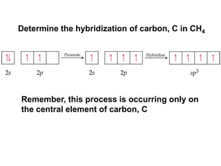 Remember, this process is occurring only on
the central element of carbon, C
Determine the hybridization of carbon, C in CH4
 