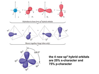 the 4 new sp3 hybrid orbitals
are 25% s-character and
75% p-character
 