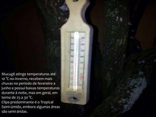 Mucugê atinge temperaturas até
10 °C no inverno, recebem mais
chuvas no período de fevereiro a
junho e possui baixas temperaturas
durante à noite, mas em geral, em
torno de 25 a 30 °C.
Clipa predominante é o Tropical
Semi-úmido, embora algumas áreas
são semi-áridas.

 