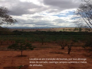 Localiza-se em transição de biomas, por isso abrange
áreas de cerrado, caatinga campos rupestres e matas
de altitudes.

 