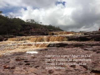 Conhecida como “Águas de Chá”
por ter a coloração avermelhada
devido à alta concentação de
ácido húmico.

 