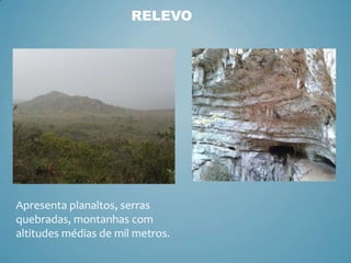 RELEVO

Apresenta planaltos, serras
quebradas, montanhas com
altitudes médias de mil metros.

 