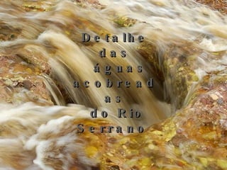 Detalhe das  águas acobreadas do Rio Serrano  