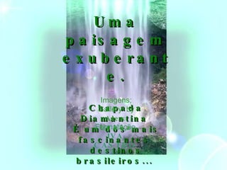 Uma   paisagem exuberante. Chapada Diamantina  É um dos mais fascinantes  destinos brasileiros...     Formatação IVA CASTRO Imagens; Gallery  by Alex Uchôa 