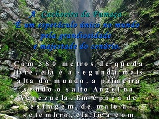 Com 380 metros de queda livre, ela é a segunda mais alta do mundo, a primeira sendo o salto Angel na Venezuela. Em época de estiagem, de maio a setembro, ela fica com pouca água e o vento leva de volta as gotinhas formando a famosa "Fumaça".   A   Cachoeira da Fumaça   É um espetáculo único no mundo pela grandiosidade  e majestade do cenário. 
