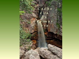 Cachoeira  da  Primavera   