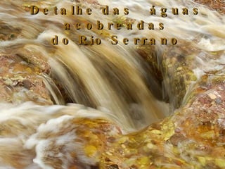 Chapada Diamantina   Ba